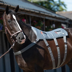 Equilibrium Massage Pad Horse Back Circulation Muscle Relaxing Standard Size