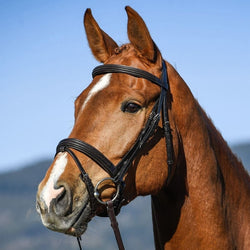 Amerigo Vespucci Dressage Snaffle Flash Bridle Anatomic Comfort with Reins