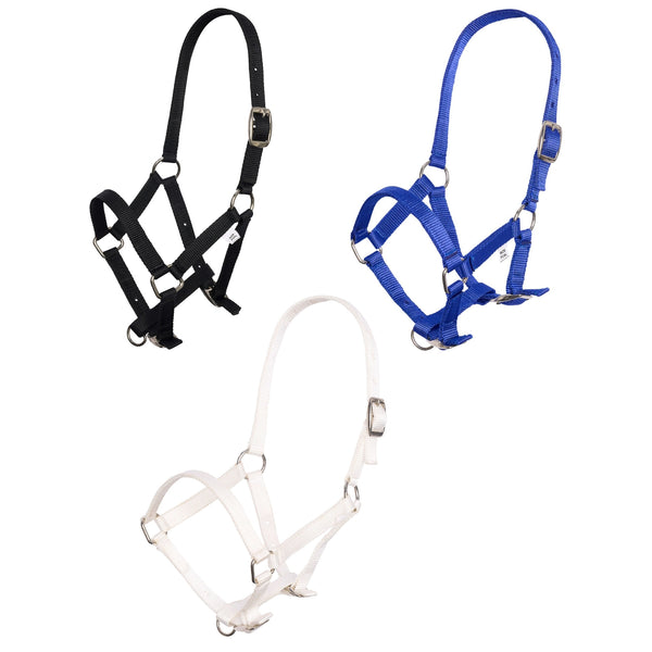 Imperial Riding Nylon Adjustable Foal Headcollar Black Dark Blue White