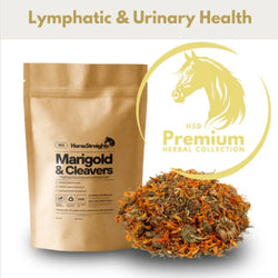 Horse Straights Direct Marigold And Cleavers Mix Herbal Lymphatic Supplement 1kg
