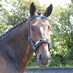 Whitaker Padded Lunge Training Cavesson Fully Adjustable Navy Cob/Full Size