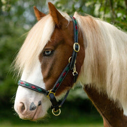 Gallop Adjustable Diamond Padded Leather Headcollar Black Burgundy Green P-XFull