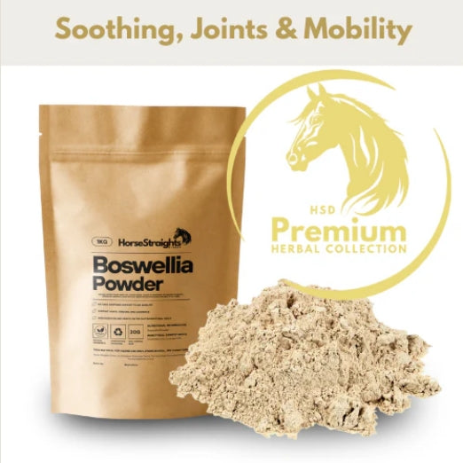 Horse Straights Direct Boswellia Powder Natural Herbal Joint Mobility Supplement
