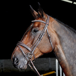 Whitaker Chicago Bling Flash Bridle + 9Loop Rubber Grip Reins and Crystal Browband