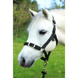 Gallop Basic Nylon Headcollar and Free Matching Lead Rope Set Black Shetland-Full