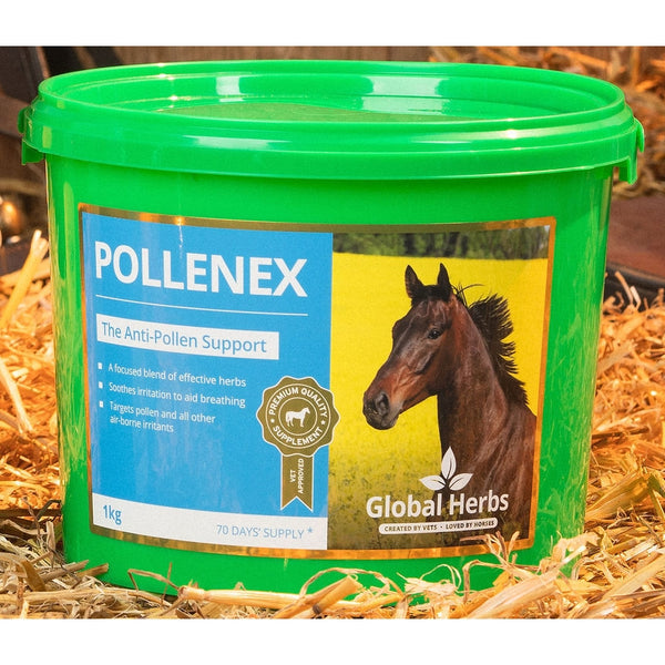 Global Herbs PolleneX Pollen Respiratory Breathing Aid Airways Horse Supplement