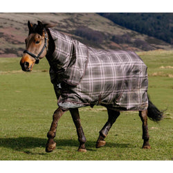 LeMieux Arika Heritage Check 200g Turnout Rug + Hood Medium Ripstop 4'9'-7'3'