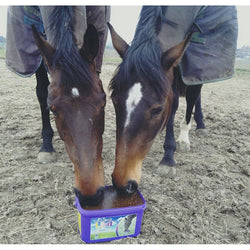 Likit Paddock Lick High-Spec Vitamins and Minerals Garlic Yeast Omega 3 Oils 8kg