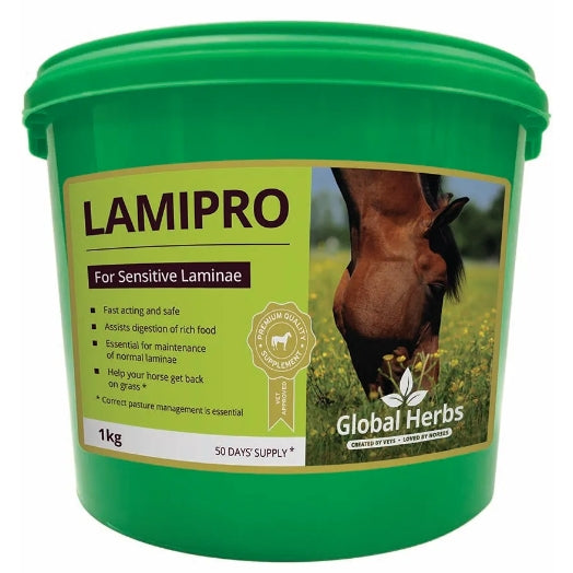 Global Herbs LamiPro Powder Laminae Digestion Liver Metabolism Hoof Supplement 1