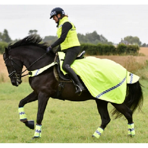 Equisafety Hi-Viz Polite Wrap Around Exercise Rug Flourescent Waterproof Quilted Cob SALE