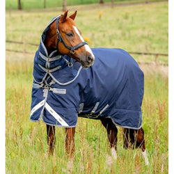 Horseware Amigo Bravo 12 Plus Turnout Rug 1200d + Hood Mediumweight 250g 3'9-7'3