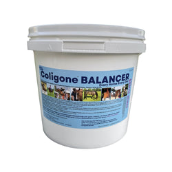 H.Bradshaws Coligone Balancer Everyday Powder Supplement For Health and Digestion