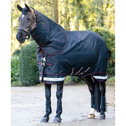 LeMieux Arika Storm-Tek 100g Light/Medium Turnout Rug with Hood Black 4'9'-7'3'