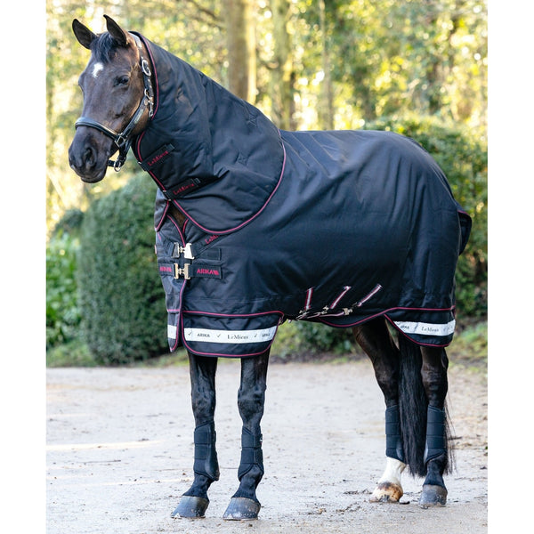 LeMieux Arika Storm-Tek 100g Light/Medium Turnout Rug with Hood Black 4'9'-7'3'