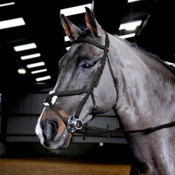 Whitaker Ready To Ride Pre-Oiled Leather Mexican Bridle Pony-XFull Black/Havana
