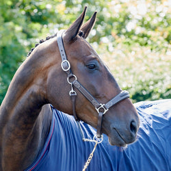 Whitaker Chicago Luxury Leather Vent Padded Headcollar Head Collar Black/Brown