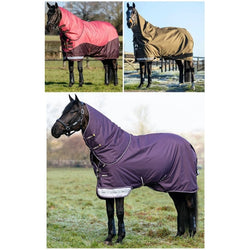 LeMieux Arika Ripstop 200g Mediumweight 600d Turnout Rug + Hood Alpine 4'9'-7'3'