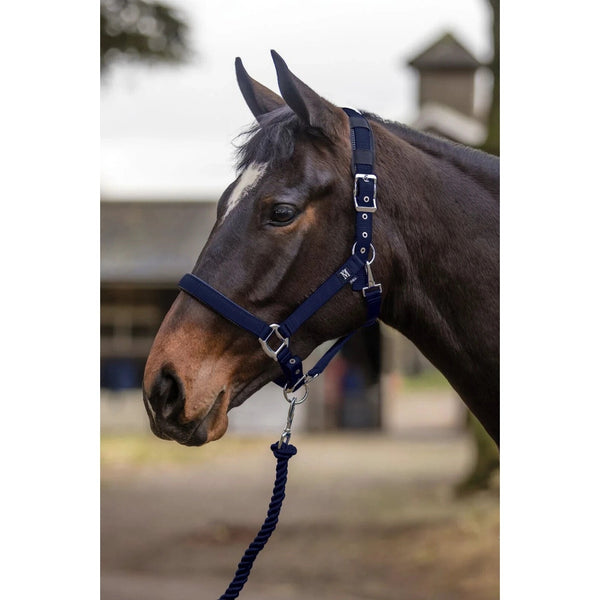 Hy Equestrian Deluxe Padded Head Collar Adjustable Comfort Headcollar Cob/Full SALE