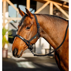 Horseware Amigo Headcollar and Leadrope Set Fleece Lined Padded Adjustable P/C/F