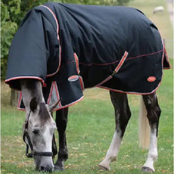 WeatherBeeta ComFiTec Premier With Therapy-Tec Detach-A-Neck Medium Turnout Rug