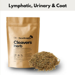 Horse Straights Direct Cleavers Chopped Herbal Lymphatic Urinary Skin Supplement