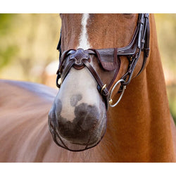 LeMieux Comfort Shield Grackle Nose Filter Mesh Fly Head Shaking Net Black/Brown