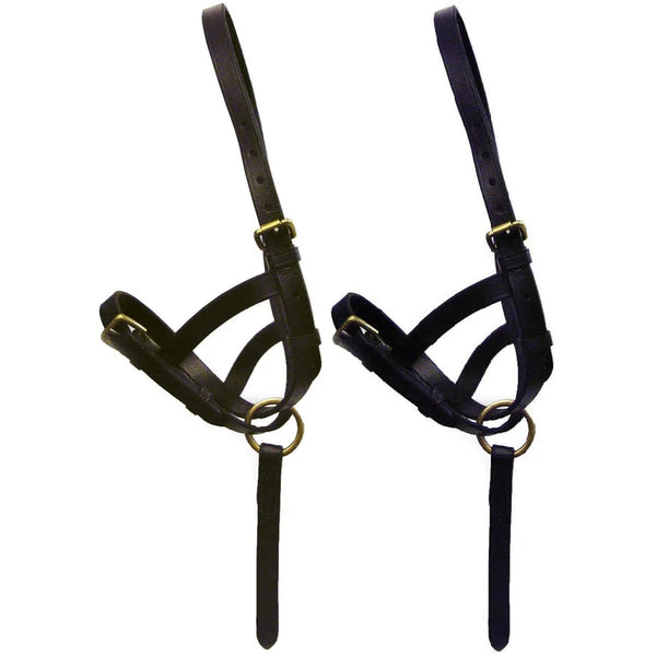 Hy Equestrian Leather Foal Slip Adjustable Halter With Short Handle Black/Brown