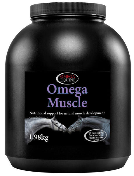 Omega Equine Muscle Recovery Development Lysine Leucine Methionine Amino Acids
