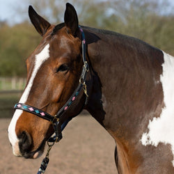 Gallop Adjustable Diamond Padded Leather Headcollar Black With PinkandAqua P-XFull