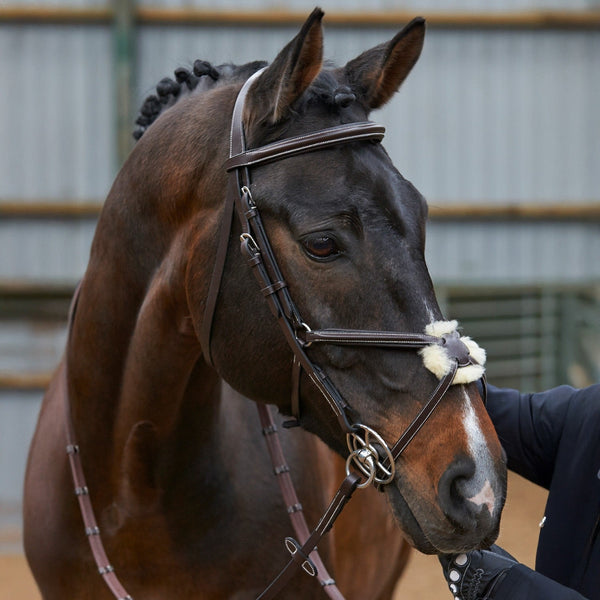 Whitaker Mexican Grackle Bridle With 9 Loop Rubber Reins Pony-Full Black/Havana