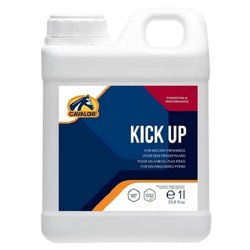 Cavalor Kick Up Energy Booster Performance Supplement For Listless Horses 1L