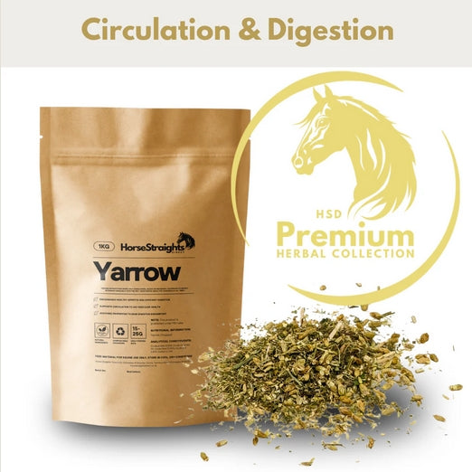 Horse Straights Direct Yarrow Herbal Digestion Gut Lining and Wellbeing Supplement