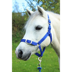 Gallop Nylon Headcollar and Free Matching Lead Rope Set Royal Blue Shetland-Full