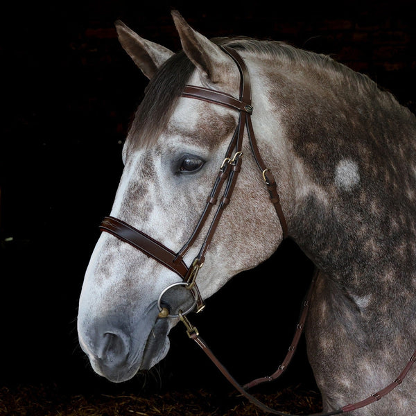 Whitaker Madrid Fancy Stitch Work Bridle With Clip Cheeks + 9 Loop Rubber Reins