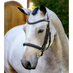 LeMieux Arika Anatomic Cavesson Bridle Padded Comfort Monocrown Black/Brown 2026