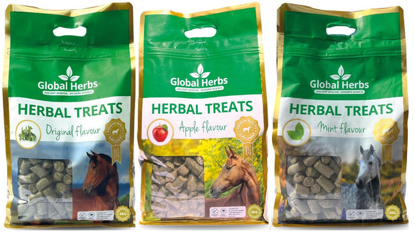 Global Herbs Herbal Horse Treats Original Mint Apple Flavour Healthy Reward 3kg