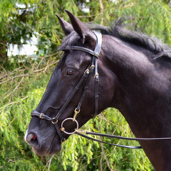 Whitaker Rome Fancy Stitch Dropped Noseband Drop Bridle + 9 Loop Rubber Reins