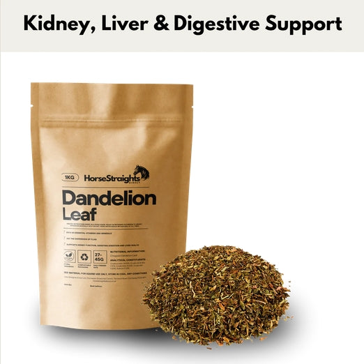 Horse Straights Direct DandelionLeaf Chopped Herb Kidney Liver Digest Supplement