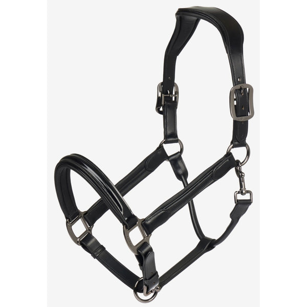 LeMieux Patent Leather Headcollar Soft Wide Anatomic Pressure Relief Padded 2025