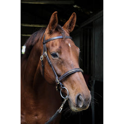 EcoRider Classic In Hand Bridle Fancy Stitch Soft Leather Showing Halter Brown