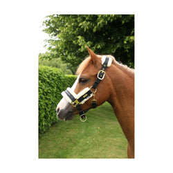 Supreme Products Royal Occasion Head Collar With Luxury Faux Fur Padding XS-Full