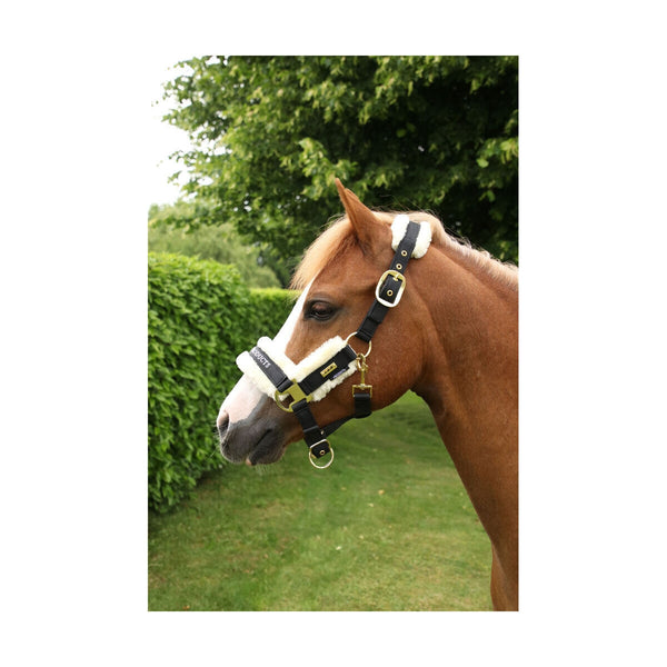 Supreme Products Royal Occasion Head Collar With Luxury Faux Fur Padding XS-Full