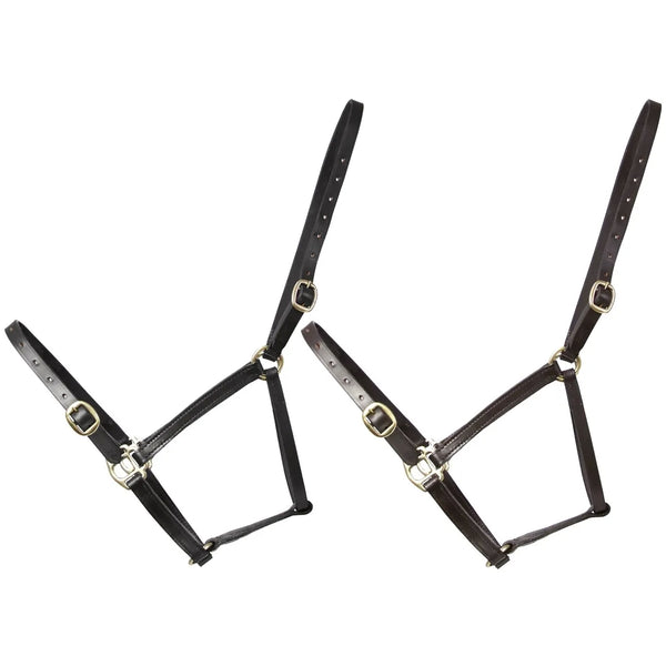 Hy Equestrian Leather Foal Head Collar Adjustable Brass Buckles Black/Brown S-XL