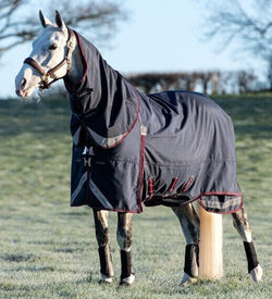 LeMieux Kudos Storm-Tek Lightweight Lite 100g Turnout Rug with Hood 5'6' - 7'3'
