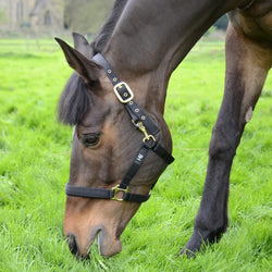 Hy Equestrian Fieldsafe Head Collar Safety Headcollar With Breaking Point P/C/F