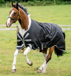 Horseware Amigo Bravo XL 1200D Turnout Rug Big Horse Lightweight 50g 5'9'-7'6'