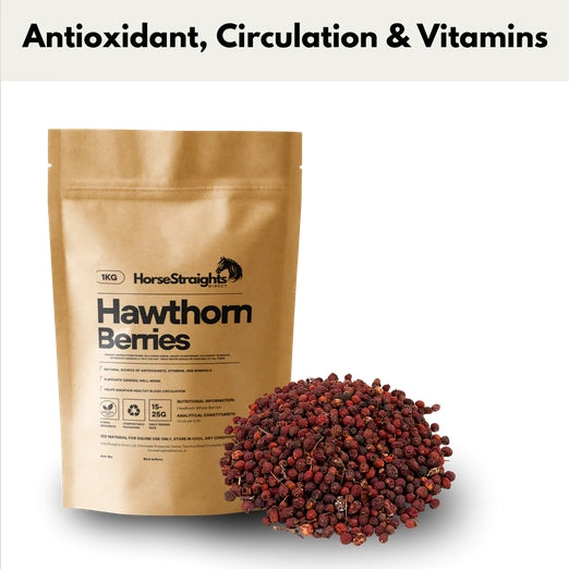 Horse Straights Direct Hawthorn Whole Berries Circulation Antioxidant Supplement