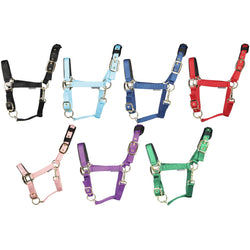 Hy Equestrian Deluxe Padded Head Collar Adjustable Comfort Headcollar XS-XL