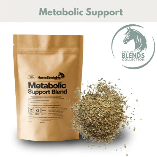 Horse Straights Direct Metabolic Support Blend Natural Herbal Insulin Supplement