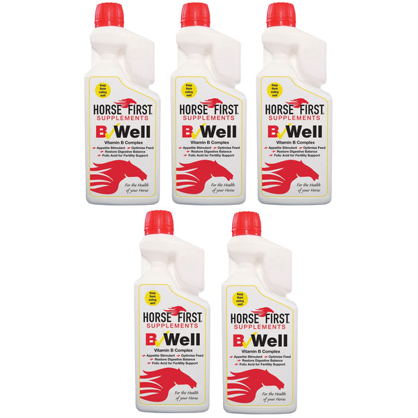 Horse First B-Well Supplement Essential Vitamins and Folic Acid Multipack 5 x 1L